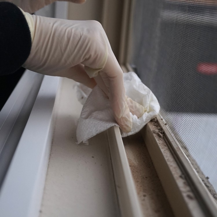 Just another WordPress site